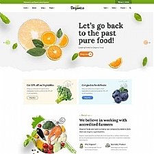 盒子云 - 蔬菜水果商城前端html5网站模板 - 资源封面