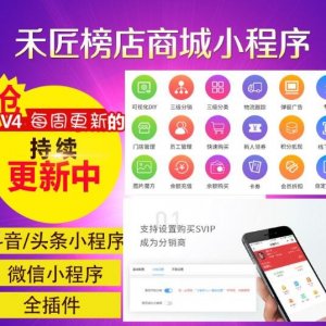 盒子云 - 禾匠榜店商城小程序V4_4.4.35 - 资源封面